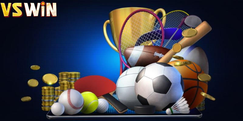 Dịch vụ hỗ trợ chuyên nghiệp 24/7của vswin có cá cược thể thao không